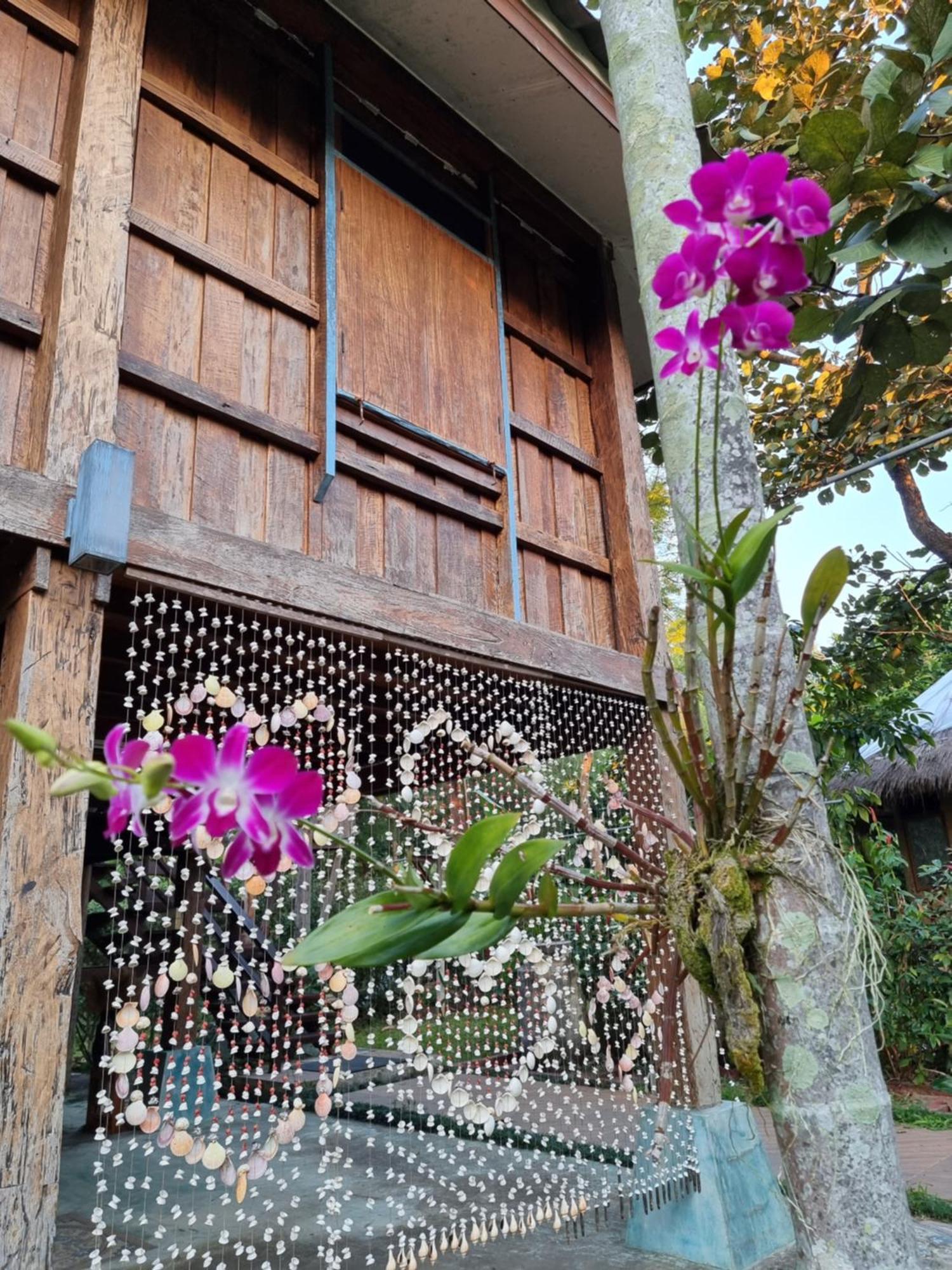 Ban Mae ChoSuan Tuc Keaw公寓 外观 照片